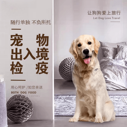 马鞍山市宠物托运到哥伦比亚猫狗宠物入境规定和