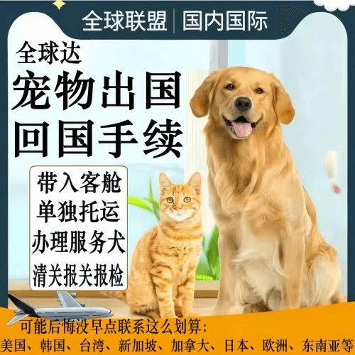 马鞍山市宠物托运到柬埔寨宠物入境规定和要求