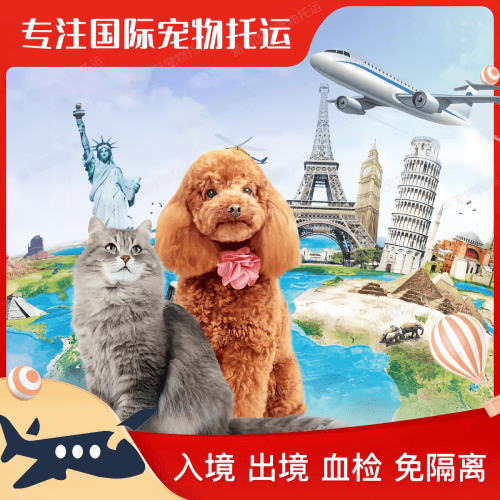 马鞍山市宠物托运到美国宠物入境最新规定和要求