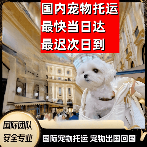 马鞍山市到澳大利亚（澳洲）宠物入境规定和要求