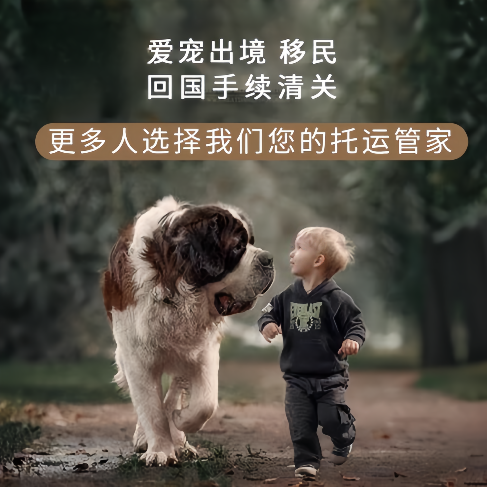 满财马鞍山市宠物全球达宠物托运在遵守入境目的地政策的条件