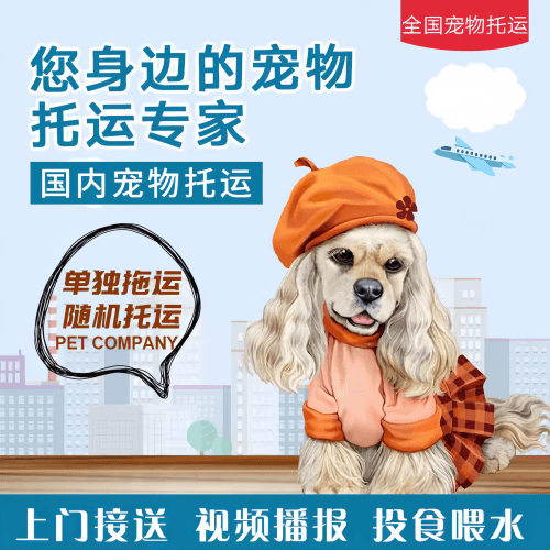 满财马鞍山市宠物全球达宠物托运作为专业的宠物运输代理机构